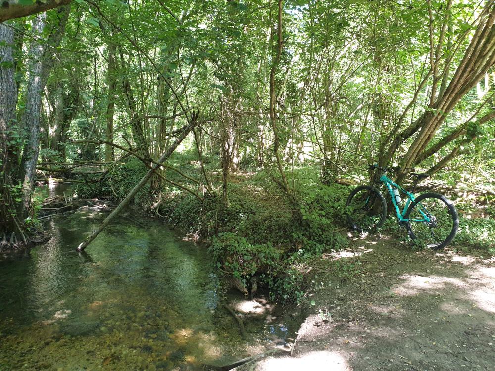 A gauche un ruisseau avec quelques branchages dans l'eau, entouré d'arbres. A droite un VTT est appuyé sur un arbre.